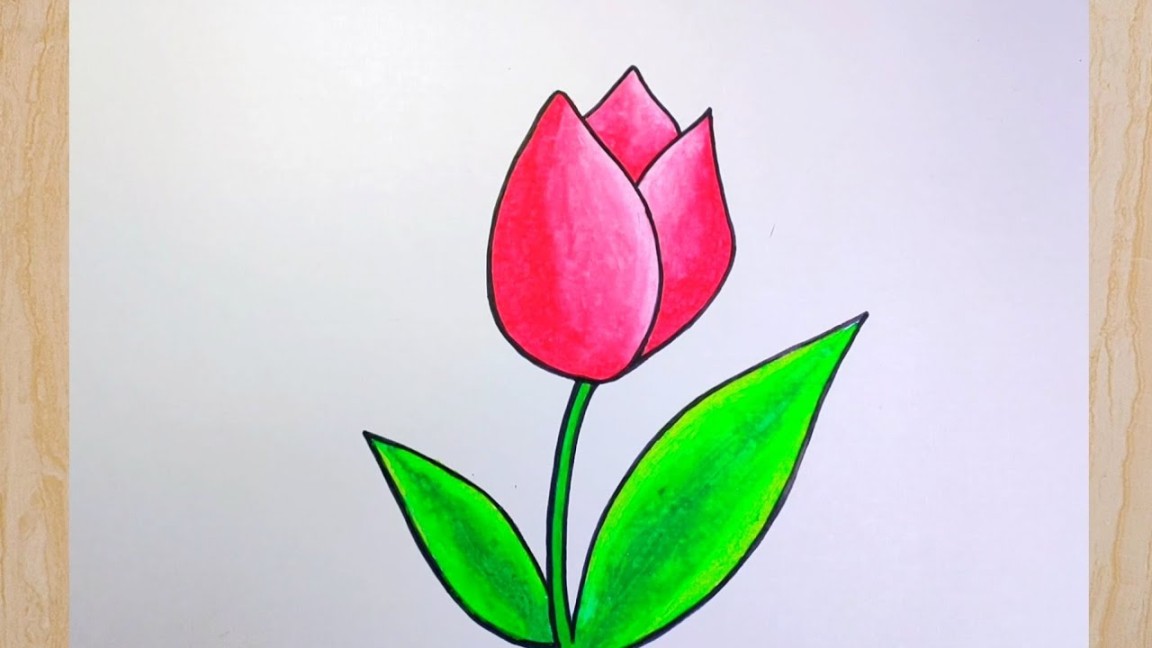 Cara menggambar bunga tulip - Cara menggambar bunga