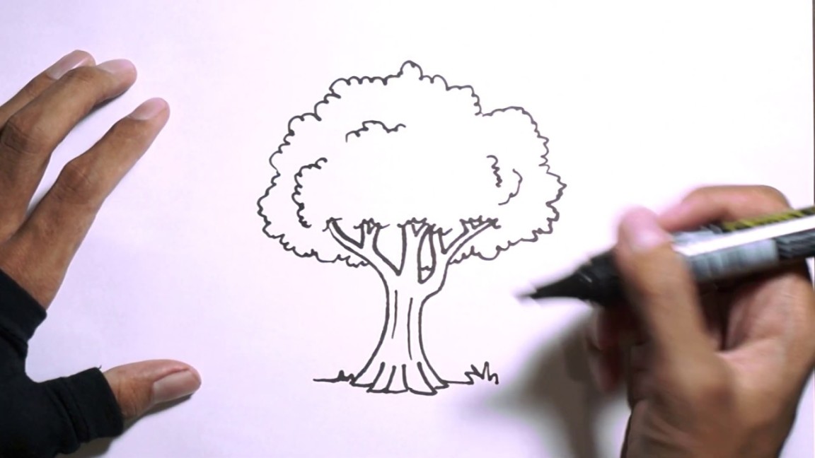 Cara Menggambar Pohon  How to draw a tree
