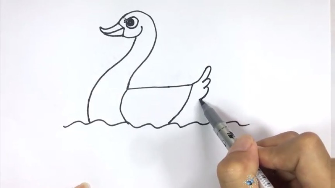 Guide to Drawing Animals From -  How to Draw Birds Step by Step.