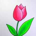 Belajar Menggambar Bunga Tulip Dengan Mudah
