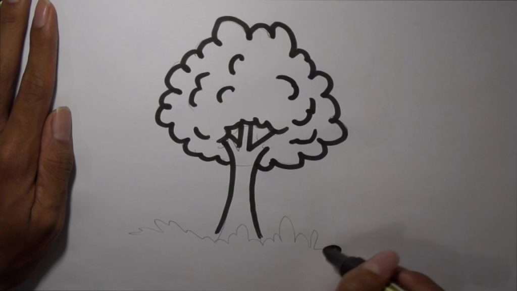 Cara Mudah Menggambar Pohon: Panduan Praktis Dan Sederhana