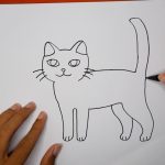 Cara Mudah Menggambar Kucing Untuk Pemula